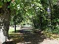 2010-1006-1300_Morden_Hall_Park_18C